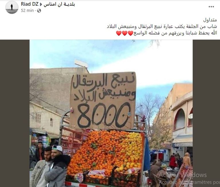 ردود أفعال رواد مواقع التواصل على الصورة التي صنعت الحدث في الجزائر إنتاج وفير من البرتقال في الجزائر - أرشيفية