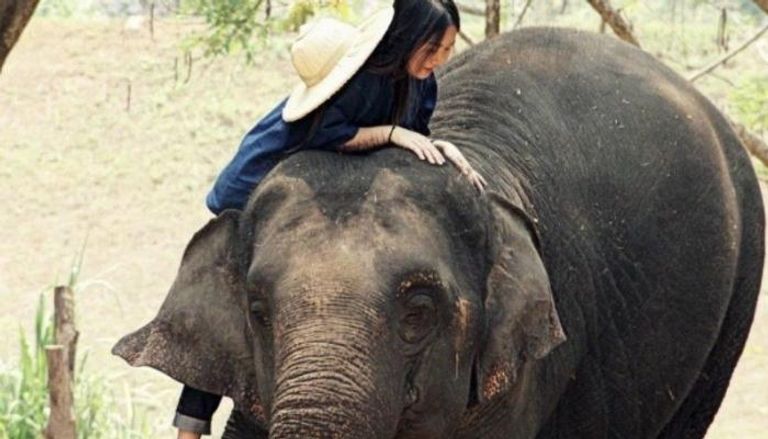محمية Friends Of The Asian Elephant