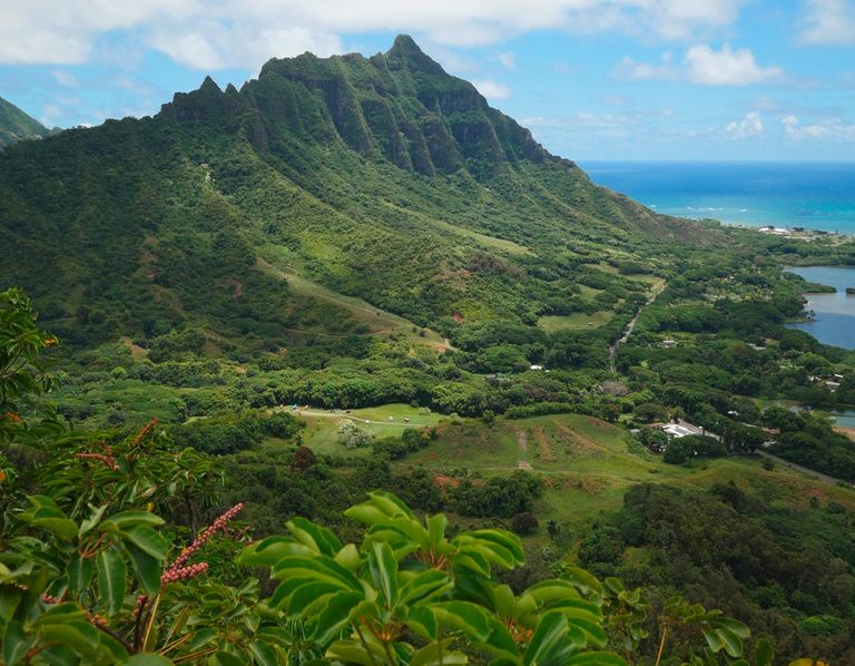 عطلات الأثرياء أكثر متعة في عقاراتهم السياحية الفاخرة