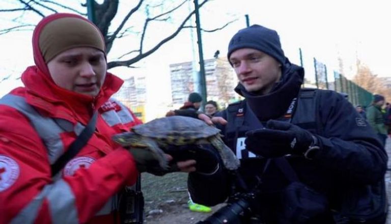 لحظة إنقاذ السلحفاة المصابة في كييف