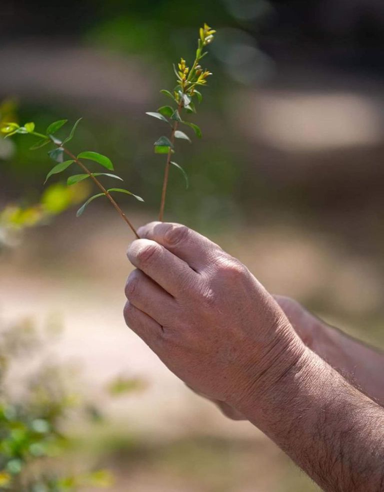 رجل دين صابئي يمارس طقوس الاحتفاء بـ"عيد الخليقة"