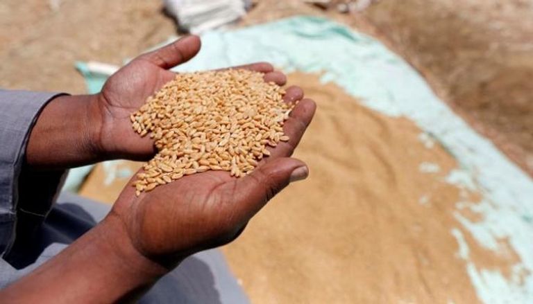 مصر تعلن خطة إنقاذ رغيف الخبز من أزمة القمح العالمية