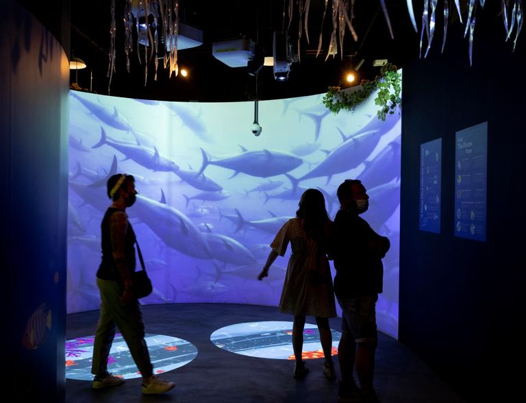 أسبوع المياه يستكشف سبل استدامة الحياة على الأرض