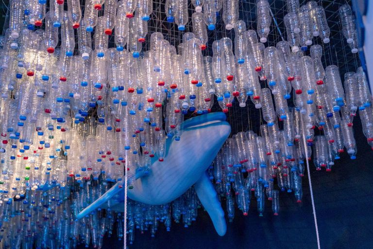 أسبوع المياه يستكشف سبل استدامة الحياة على الأرض