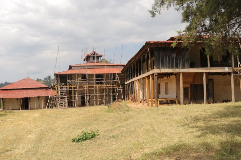 تمثال لملك أباجفار بمدينة جيما التاريخية