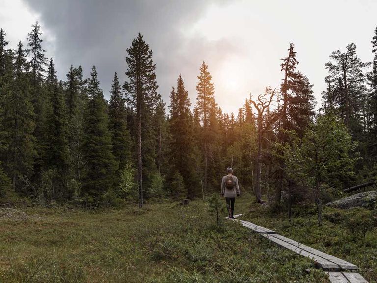 انحفاض مستويات الجريمة في فنلندا أحد عوامل سعادة شعبها 