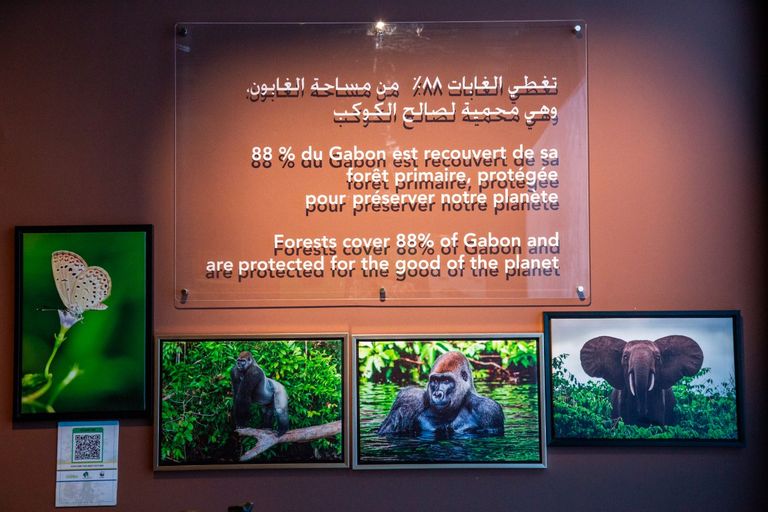 جناح الجابون في إكسبو 2020 دبي جناح الجابون في إكسبو 2020 دبي