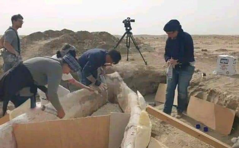 آثار القارب المكتشف في مدينة الوركاء جنوب العراق