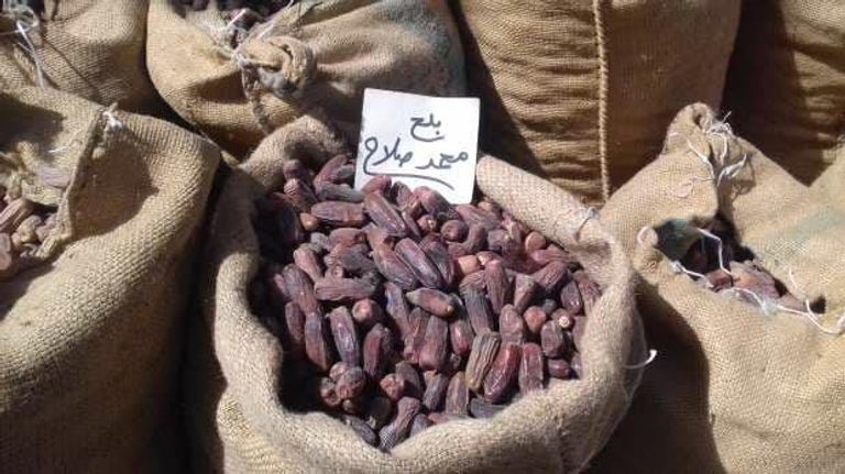 أجواء الصعود لكأس العالم 2018 انعكست على اختيار محمد صلاح اسما لأجود أنواع البلح في هذا العام 