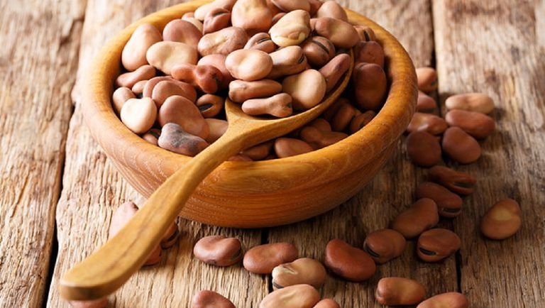 الفول يحتوي على كمية كبيرة من الفيتامينات والمعادن- أرشيفية