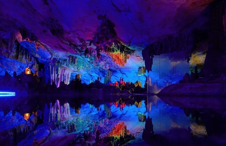 كهف Reed Flute Cave كهف Waitomo Glowworm
