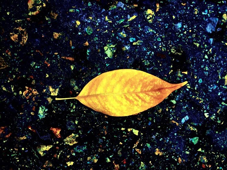 كتيب معرض النصيب للفنان المصري عماد أرنست