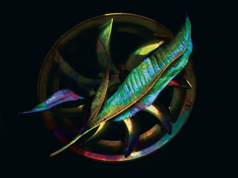 كتيب معرض النصيب للفنان المصري عماد أرنست