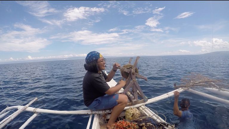 الحلزون المخروطي بالمياه العميقة - أرشيفية