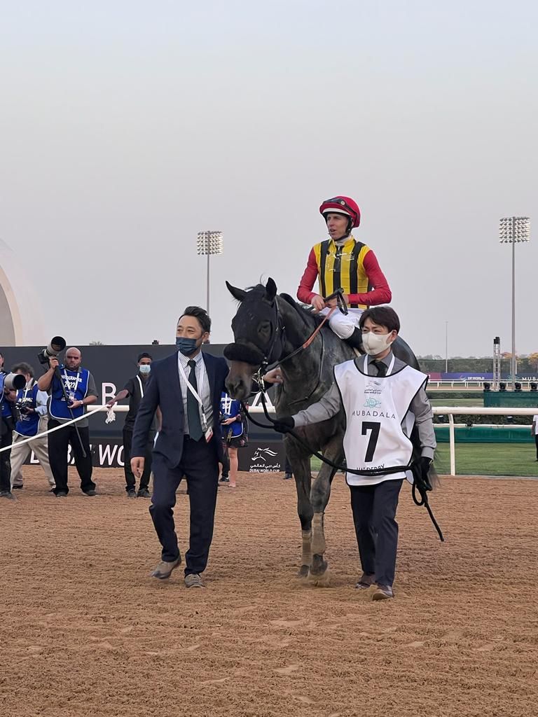 من فعاليات النسخة 26 من كأس دبي العالمية للخيول