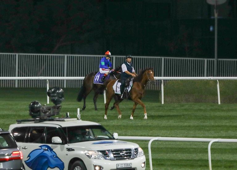 من فعاليات النسخة 26 من كأس دبي العالمية للخيول