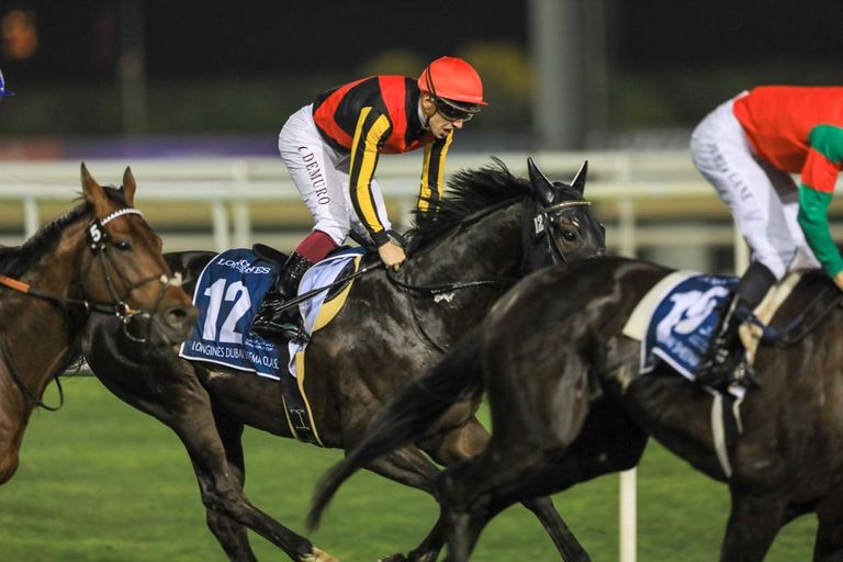 من فعاليات النسخة 26 من كأس دبي العالمية للخيول