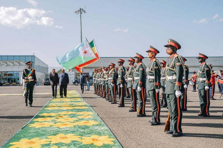 استقبال رسمي لرئيس جيبوتي في إثيوبيا رئيس الوزراء الإثيوبي آبي أحمد يستقبل الرئيس الجيبوتي