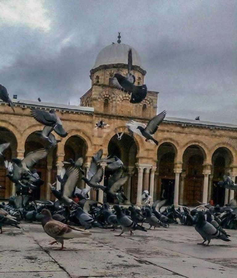 جامع الزيتونة وسط العاصمة تونس