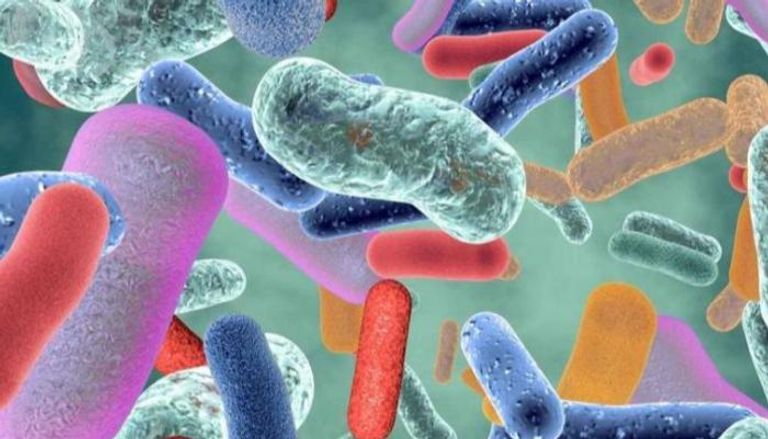 سوء استخدام المضادات الحيوية يجعل البكتيريا أكثر شراسة