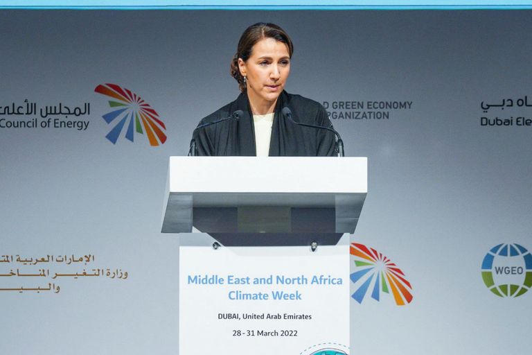 الدكتور سلطان بن أحمد الجابر