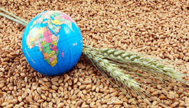 الأمم المتحدة تضع خطة لتحقيق الأمن الغذائي العالمي