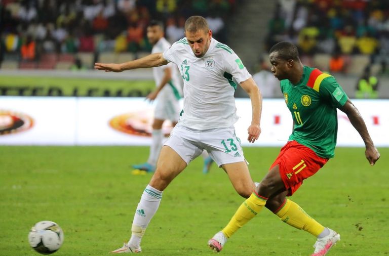 الجزائر ضد الكاميرون