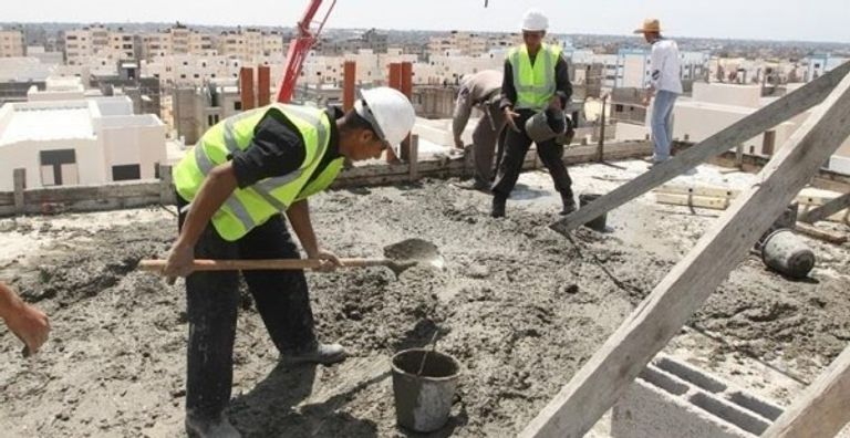 الدكتور شوقي علام مفتي مصر