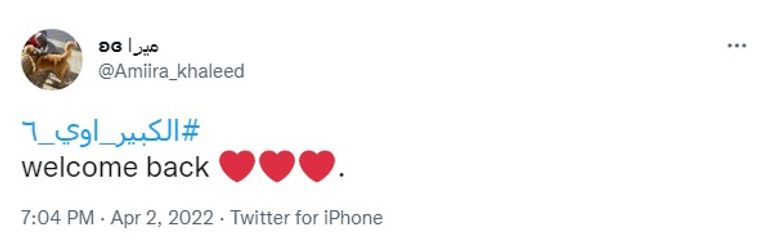 الملصق الدعائي للجزء السادس من الكبير أوي