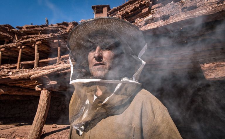 أقدم مزرعة لتربية النحل في العالم