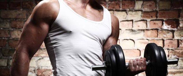 نظام غذائي لرمضان كمال الأجسام نظام غذائي لرمضان كمال الأجسام