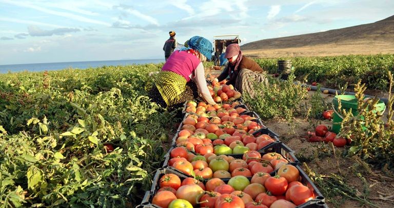أحد موانئ شحن البضائع بتركيا