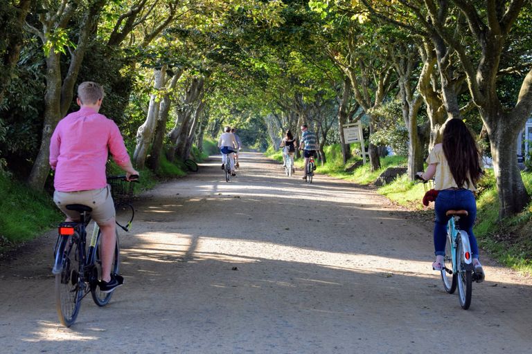 جزيرة "سارك" جزيرة "سارك"