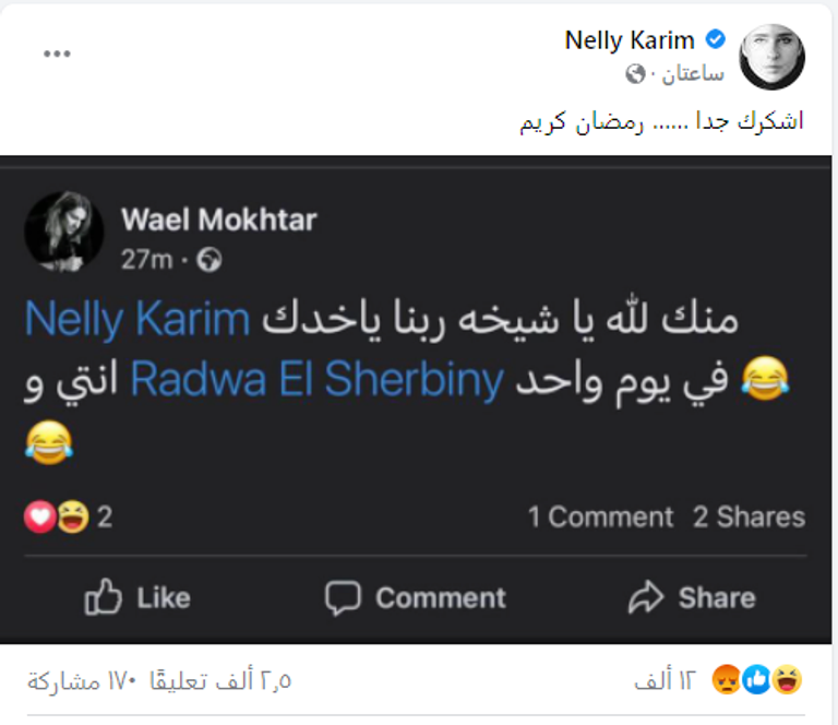 نيللي كريم - أرشيفية