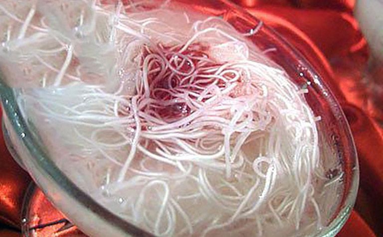 الشباكية حلوى مغربية رمضانية