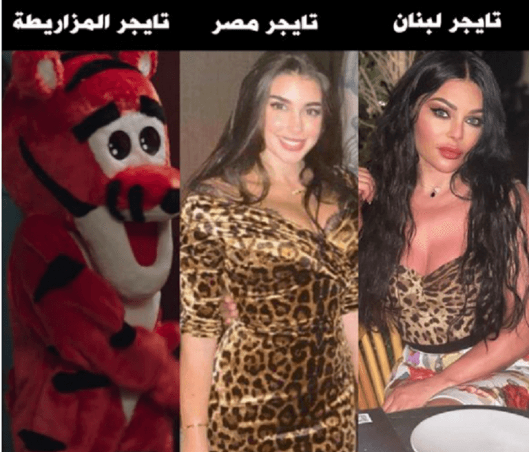 هيفاء وهبي وياسمين صبري ومربوحة