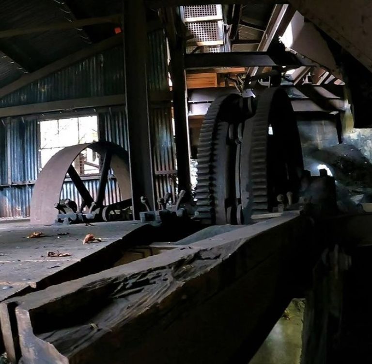 فيرجينيا الغربية