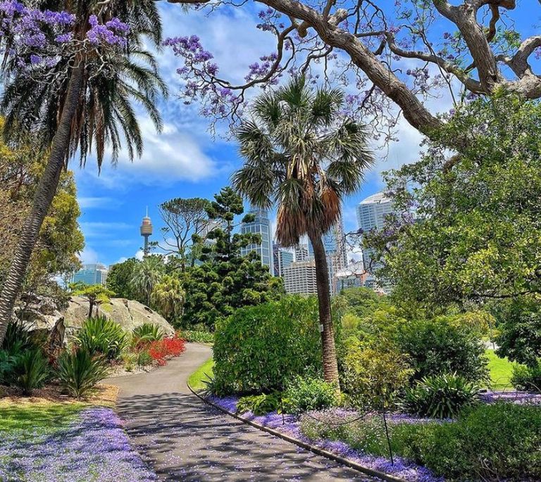 Royal Botanic Gardens  دار أوبرا سيدني