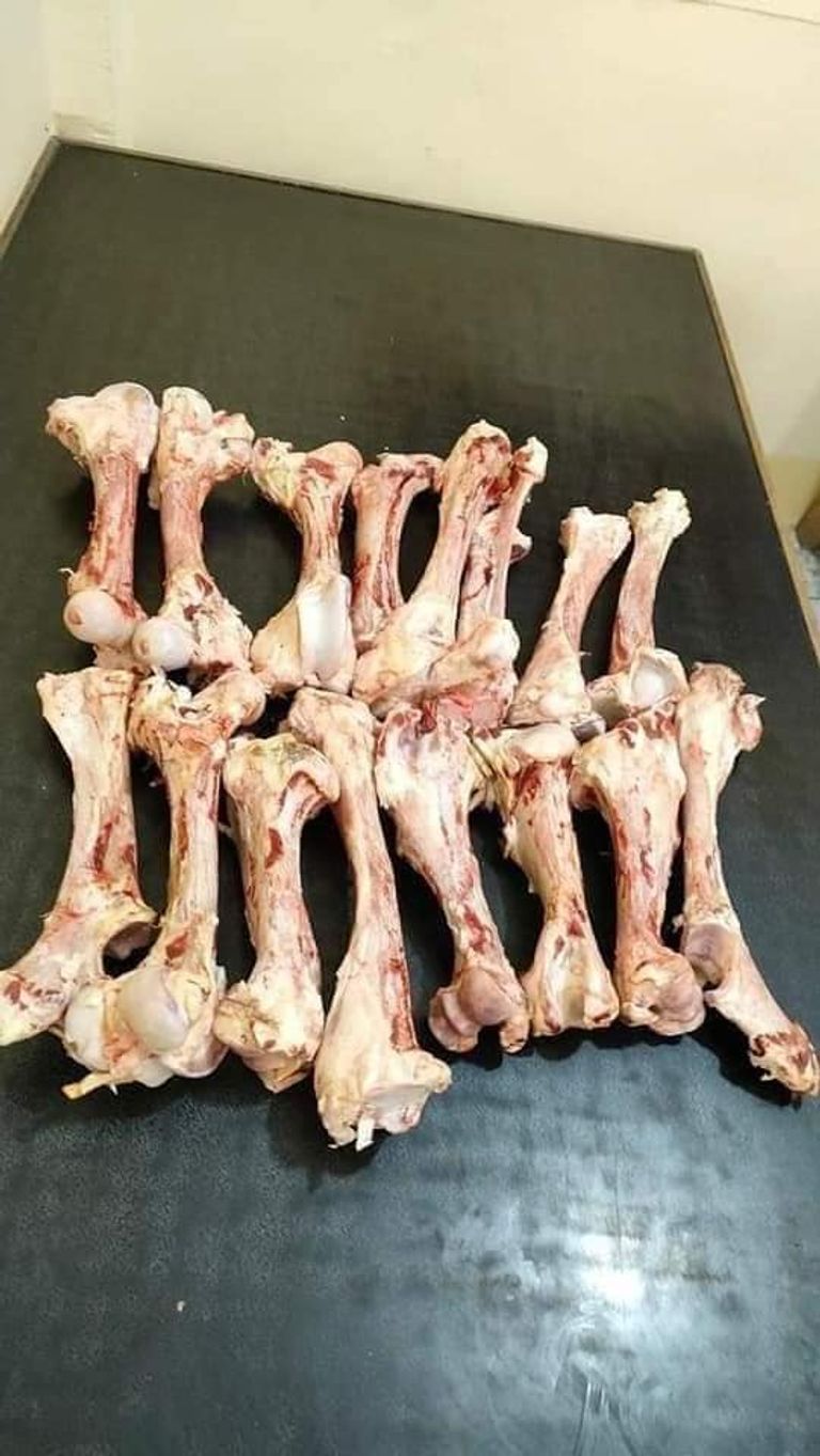 العظام التي وزعتها الجمعية