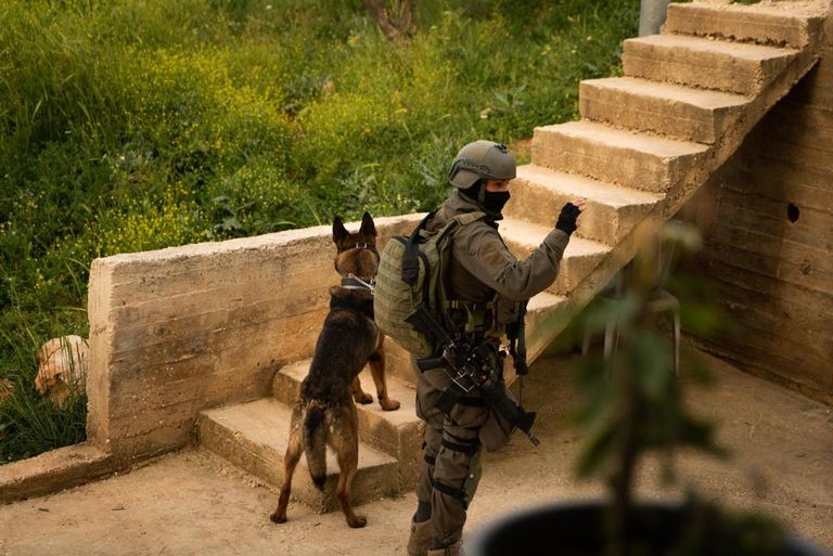 جانب من العملية الإسرائيلية في الضفة