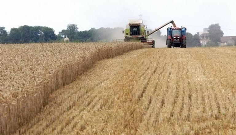 الأطفال هم الأكثر تأثرا بتبعات الفقر والعوز