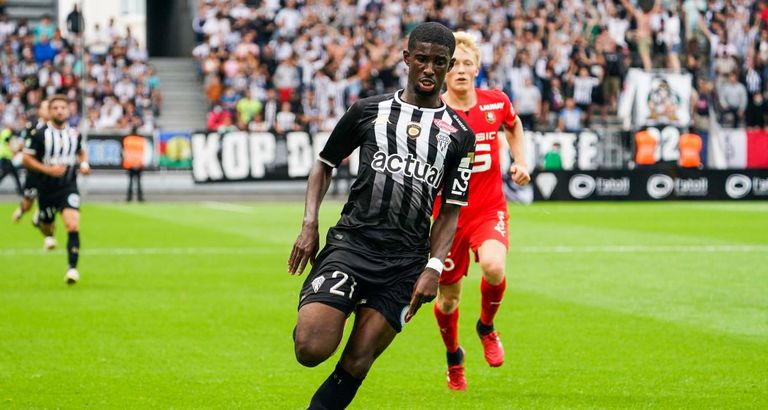 محمد علي شو