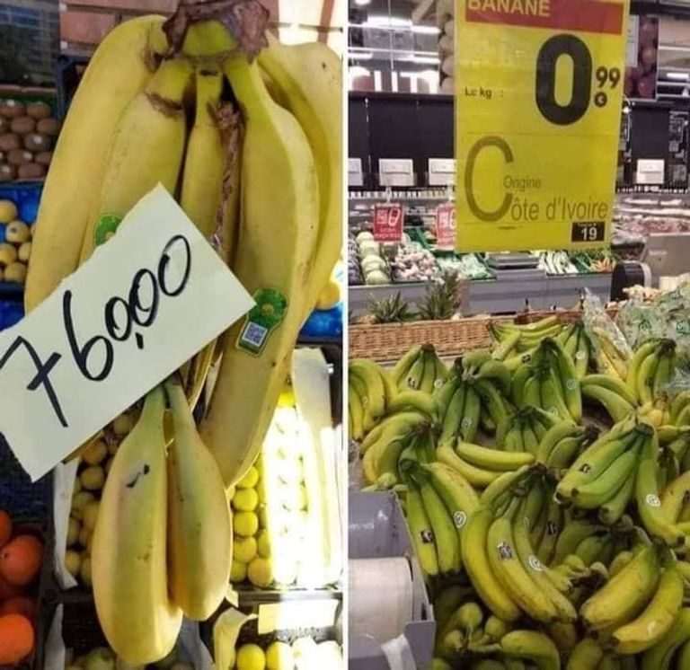 سخرية وغضب الجزائريين عبر منصات التواصل إحدى الصور الساخرة المنتشرة للتعبير عن ارتفاع سعر الموز بالجزائر