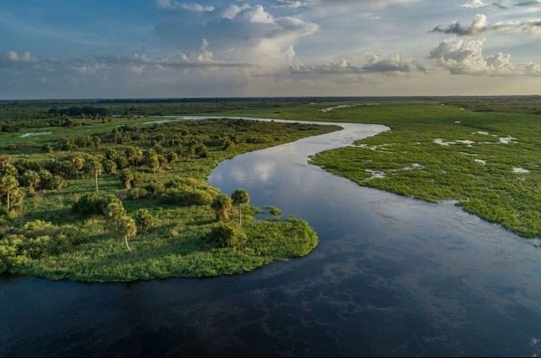 اليوم الثاني فلوريدا - أرشيفية