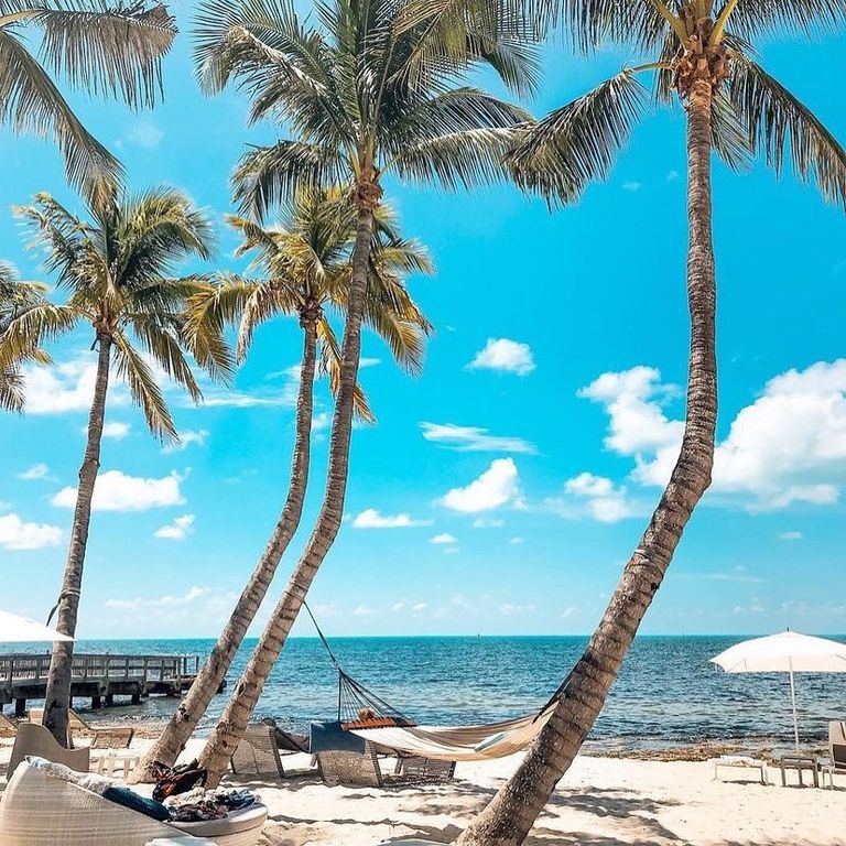 اليوم السادس فلوريدا - أرشيفية