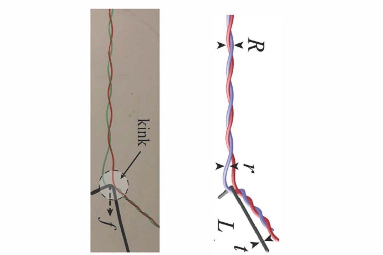 محاكاة مشاكل التمشيط عبر خيطين متشابكين حلزونيا عالم الرياضيات الأمريكي من أصل هندي لاكشمينارايانان ماهاديفان