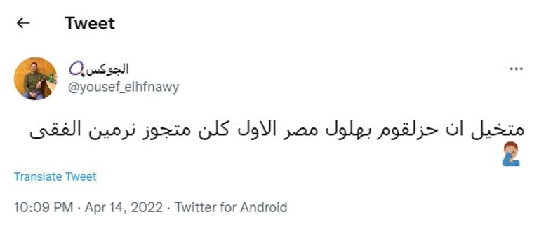 نرمين الفقي وأحمد مكي ومحمد سلام