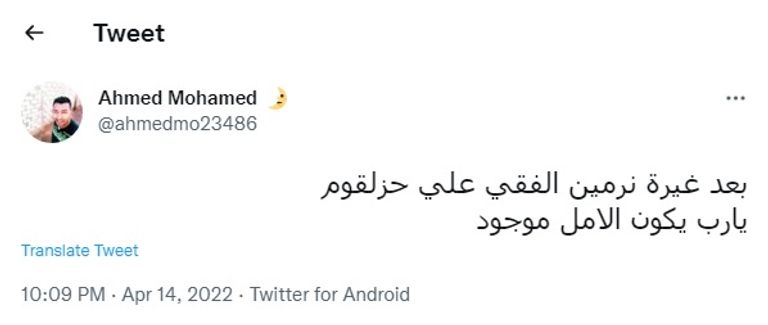 نرمين الفقي وأحمد مكي ومحمد سلام