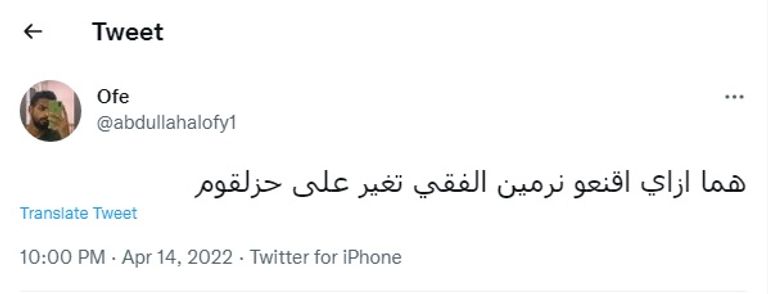 نرمين الفقي وأحمد مكي ومحمد سلام