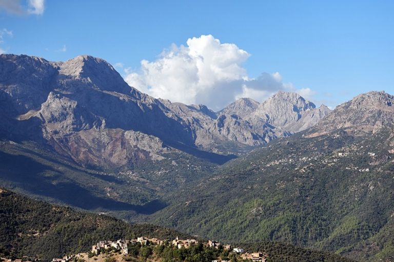 الطريق يقع في البرازيل وليس الجزائر